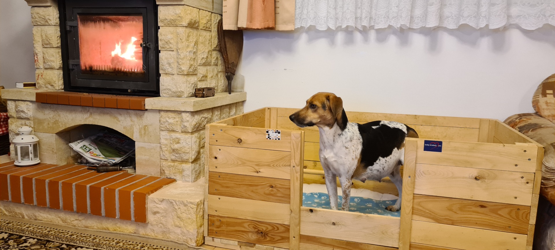 8. 3.2021 porodní bedna je připravena, teď nezbývá než čekat.... Jak dlouho nás bude Amálka napínat???