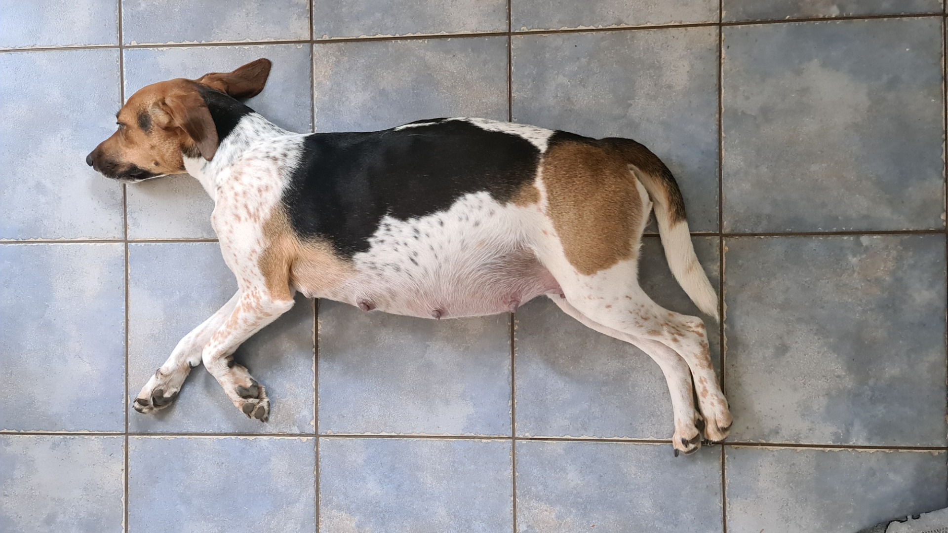 14. 3. 2021 Amálka nás s porodem pořád napíná....